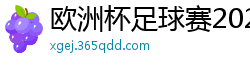 欧洲杯足球赛2024赛程时间表